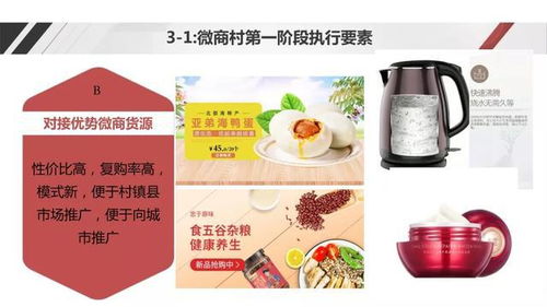 電商社交新模式助力農(nóng)產(chǎn)品上行——野農(nóng)優(yōu)品創(chuàng)始人勾英達(dá)談配送服務(wù)創(chuàng)新